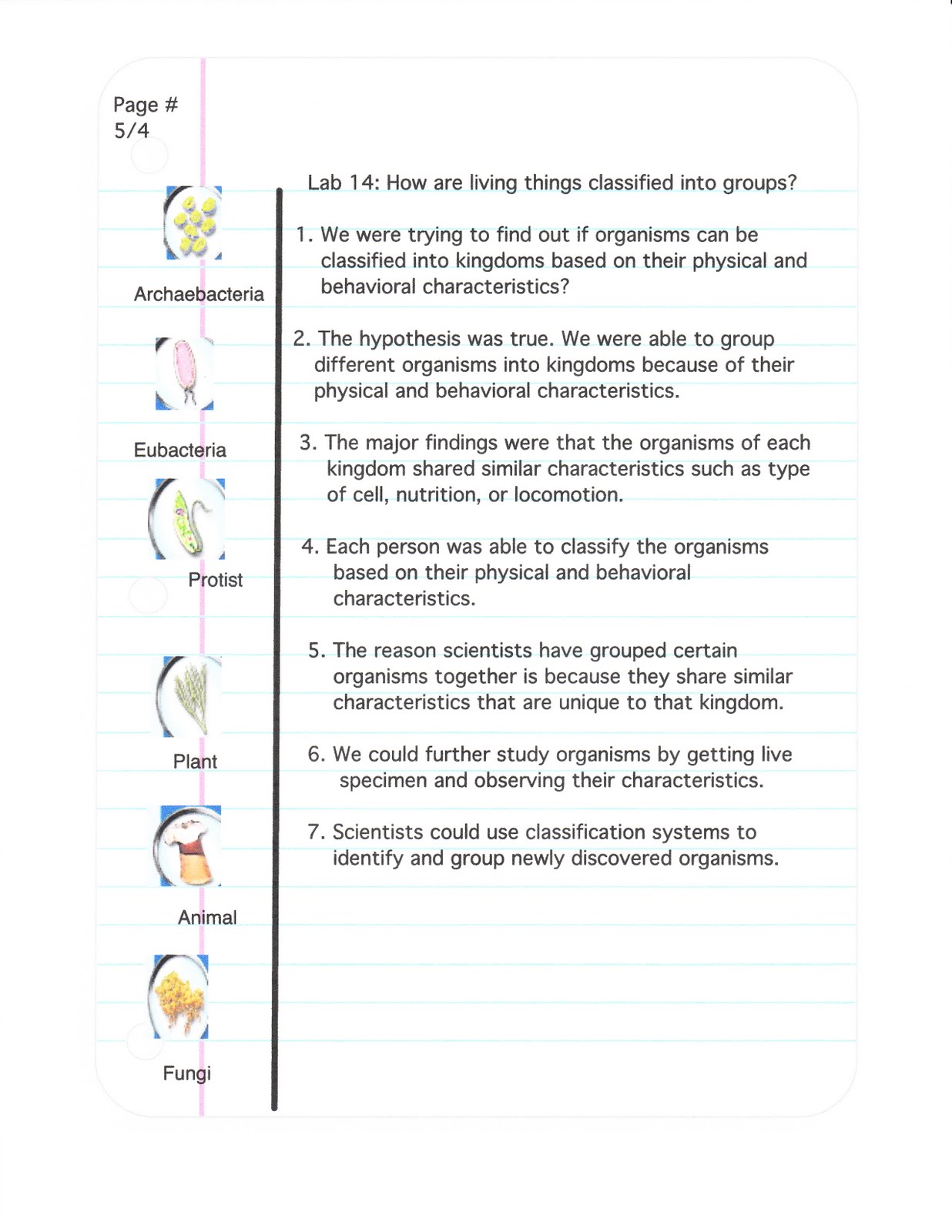 write essay my best holiday write essay my best holiday